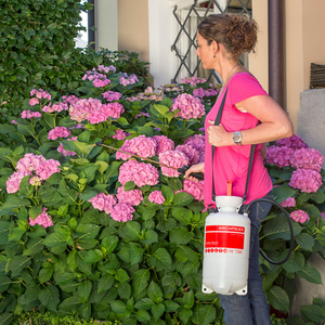 Pulvérisateur de plantes Gloria Hobby 10 capacité 1 litre