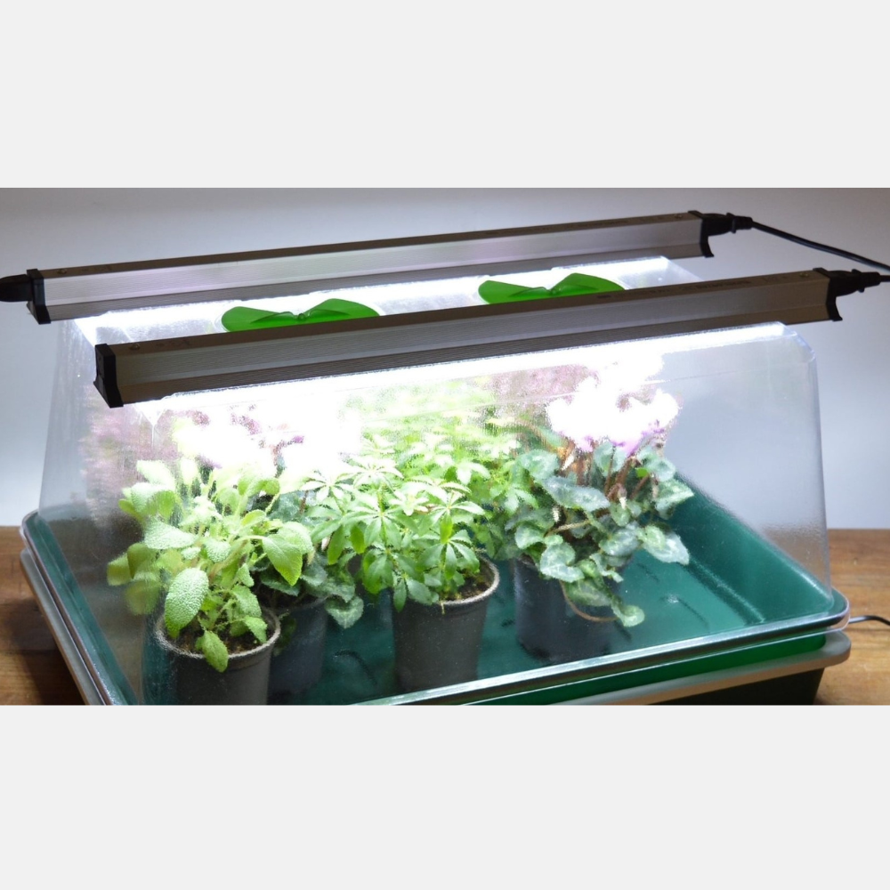 Propagator Geodome - Large