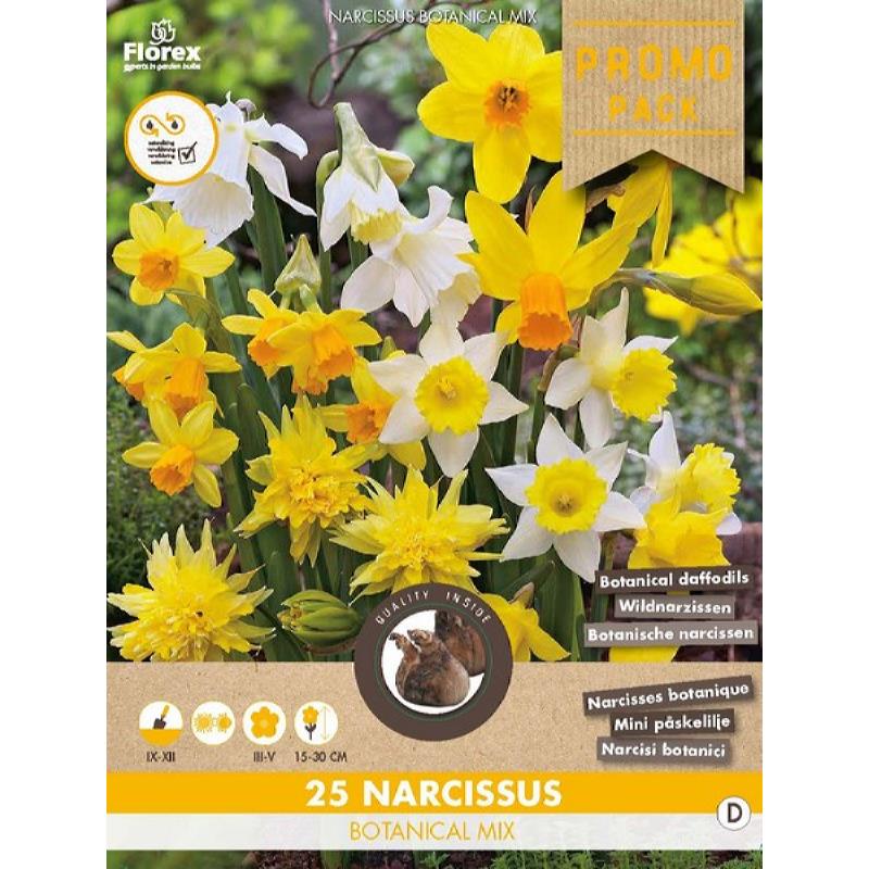 Botanische Narcis mix - 25 stuks