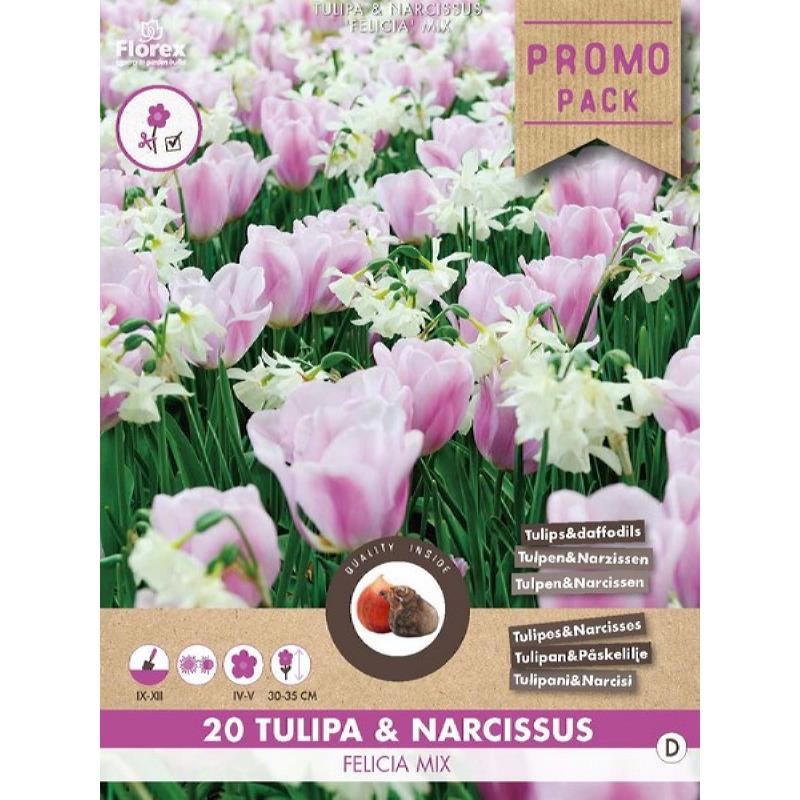 Tulpen & narcissen mix – 20 stuks