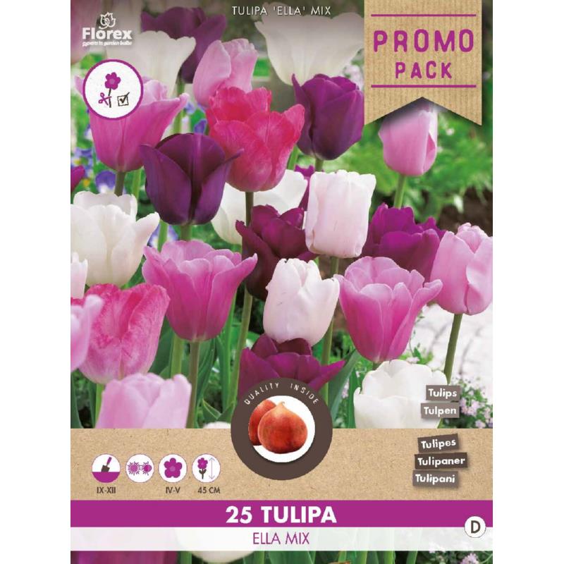 Tulp Ella mix - 25 stuks