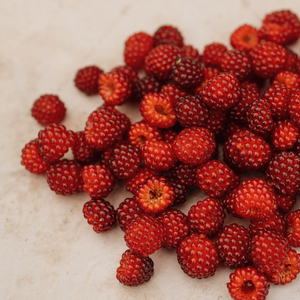 Baies de vigne japonaises BIO