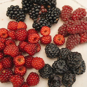 Tayberry (raspberry/blackberry cross) BIO