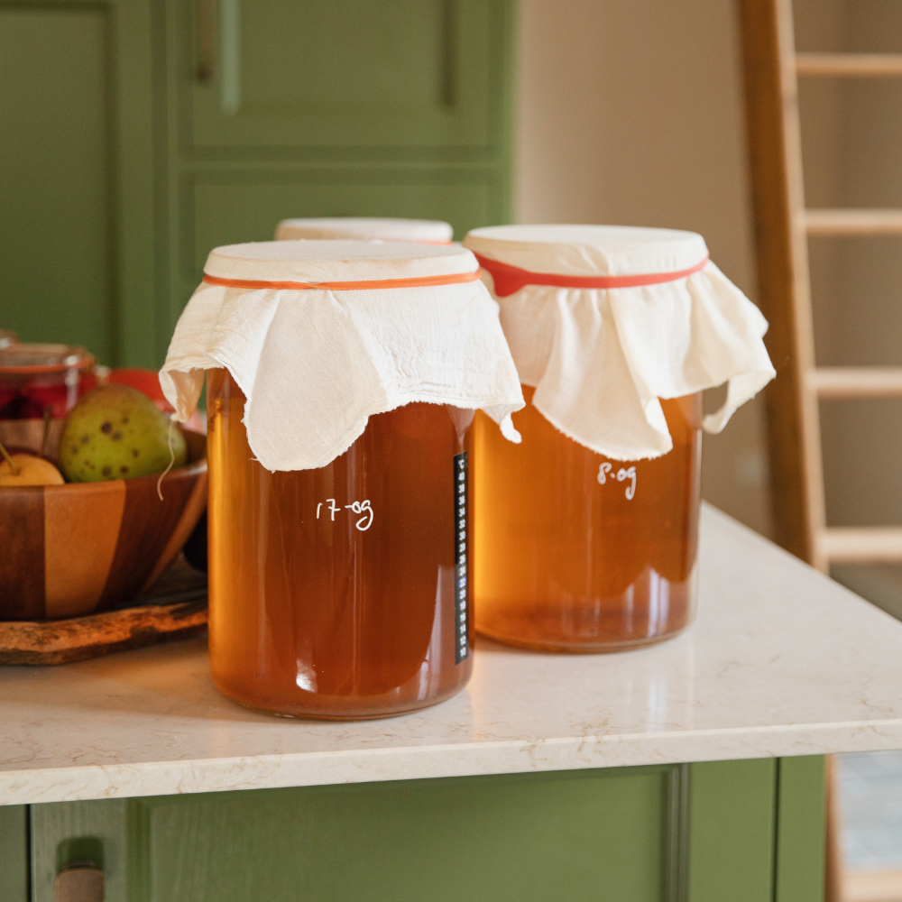 Kit de démarrage Kombucha