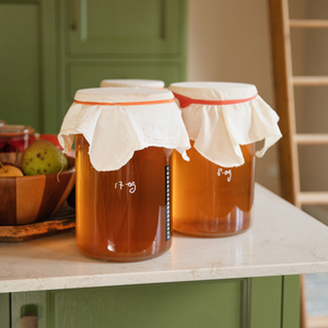 Kit de démarrage Kombucha