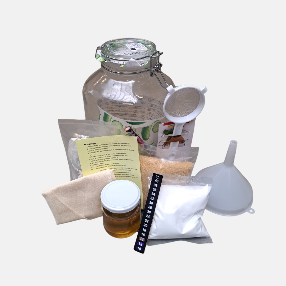 Kit de démarrage Kombucha