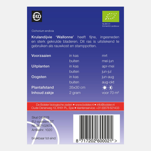 Endive frisée 'Wallonne' BIO