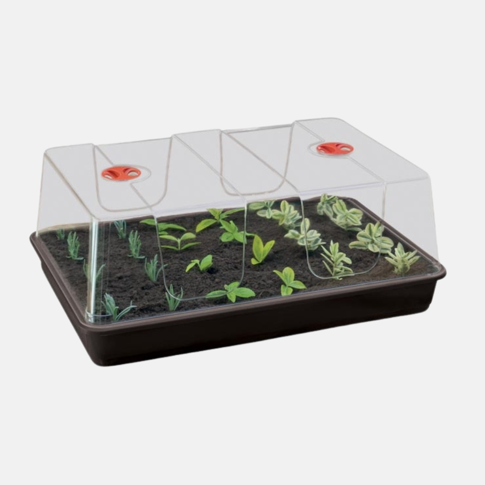 Grow-Gewächshaus XXL 59 x 39 x 27 cm mit oder ohne Lampen/Heizung (Optionen wählen)