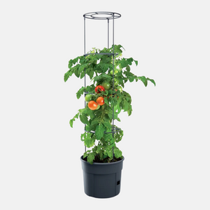 Anzuchttopf für Tomaten mit Wachstumshilfe 12 Liter (Menge wählen) 