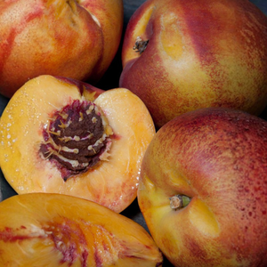 Nectarine 'Flavourtop'