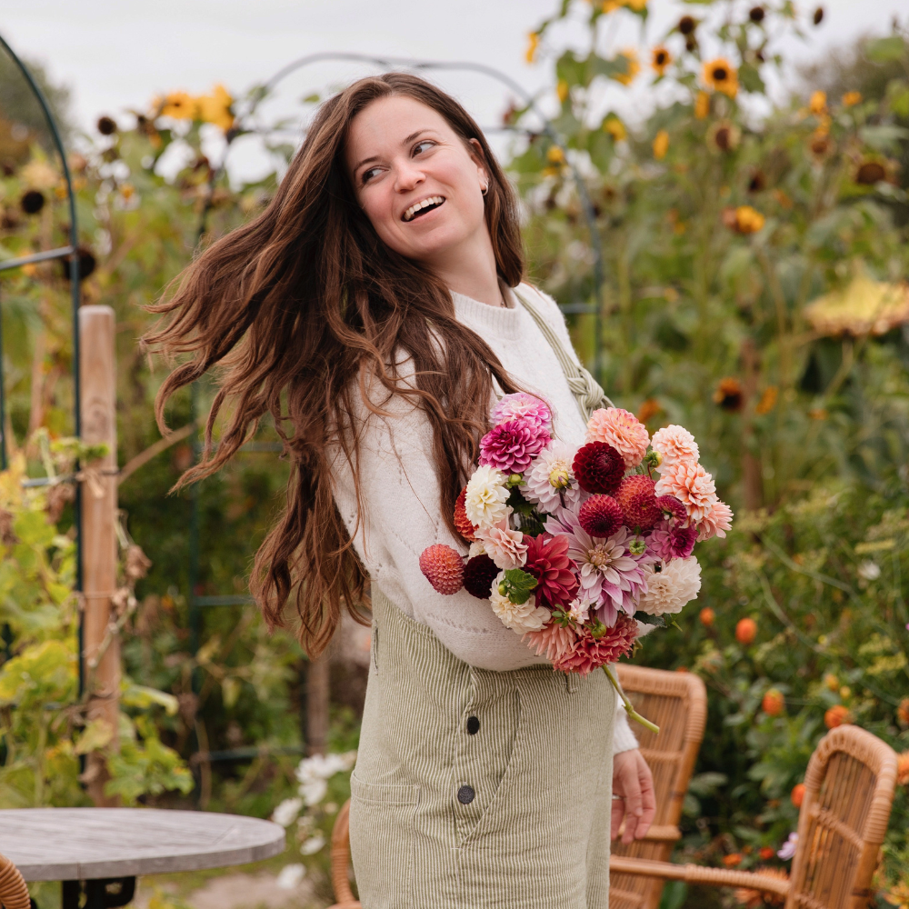 Dahlia pakket XXXXL pakket (met al onze 56 soorten)