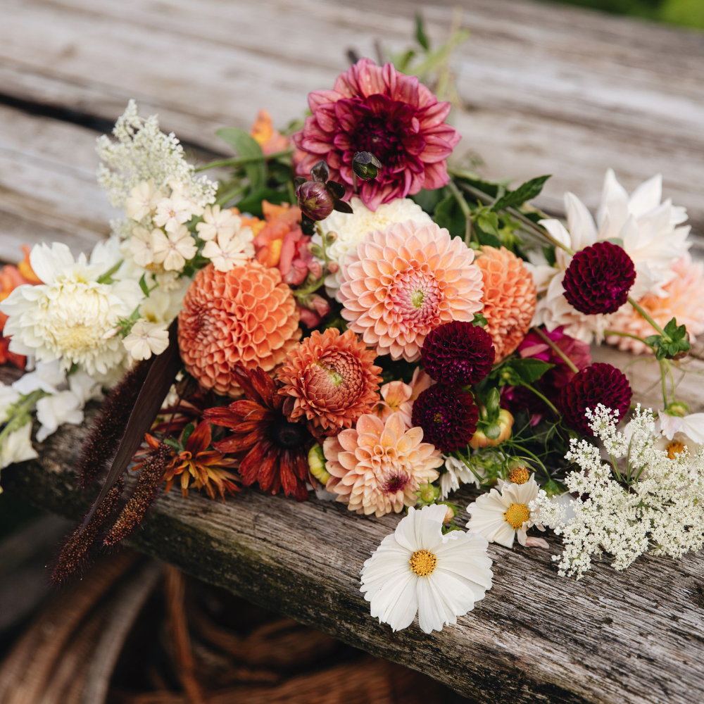 Dahlia pakket XXXXL pakket (met al onze 56 soorten)