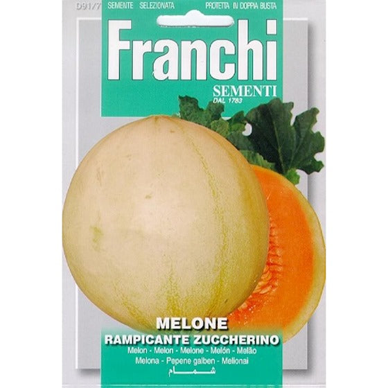 Melone. Melone Rampicante Zuccherino 91/7 (Franchi) – Inhalt: 5 Gramm