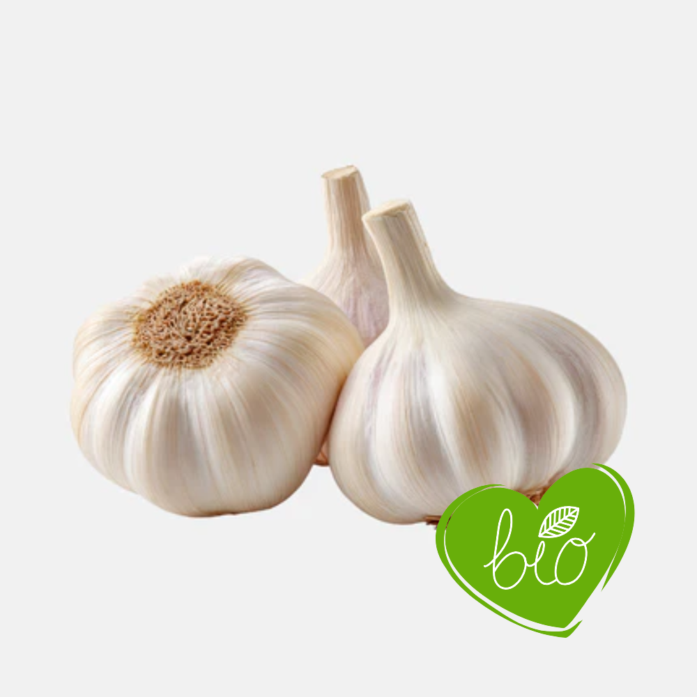 Plantez de l'ail blanc 'Messidor' (à col souple) BIO - 3 bulbes