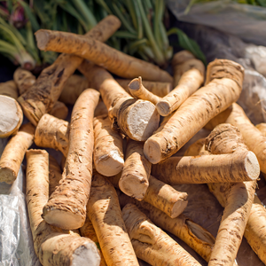 Mierikswortel (Armoracia rusticana) - P9 pot