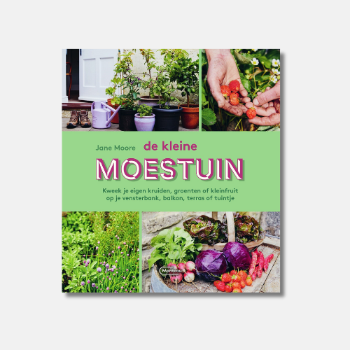 De kleine moestuin - Jane Moore