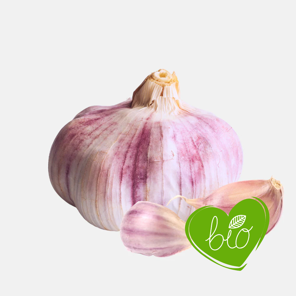 Ail violet à col dur 'Morado' (biologique) - 3 bulbes