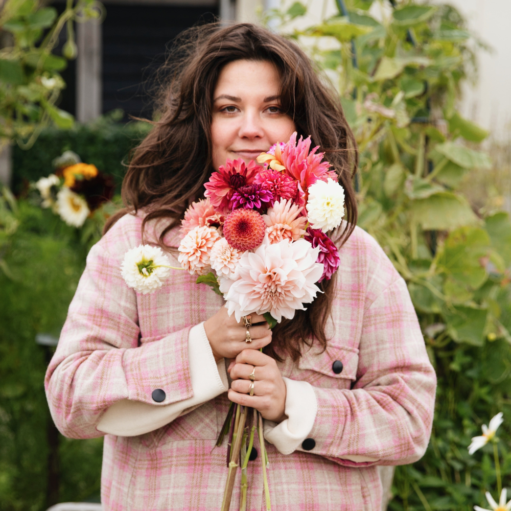 Dahlia pakket 'Nina's 13 favorieten'