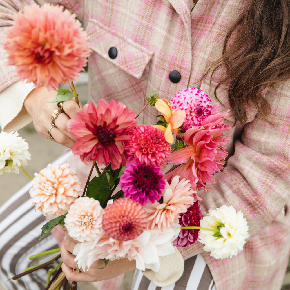 Dahlia pakket 'Nina's 13 favorieten'