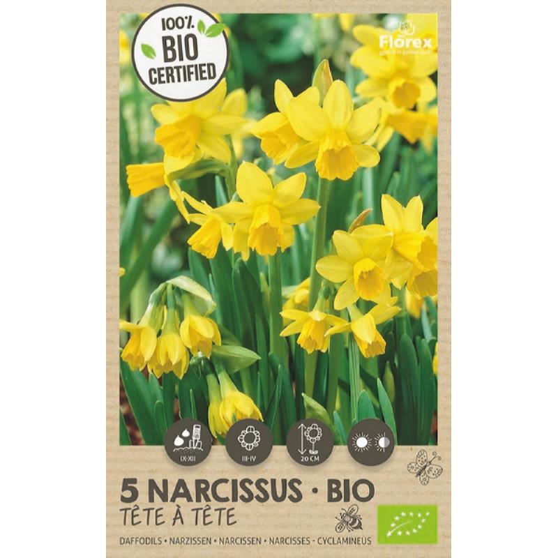 Narcis Tete á Tete BIO - 5 stuks