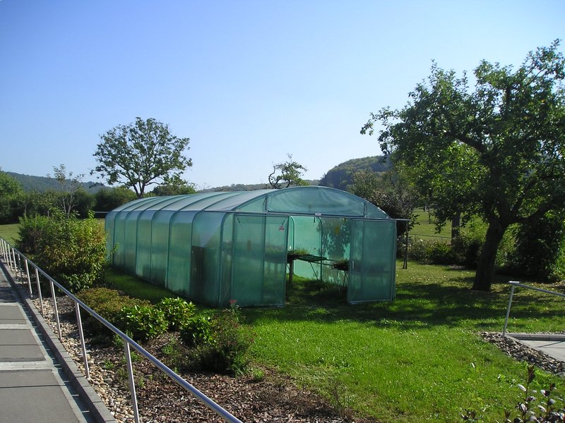 Tunnel-Wintergarten Eleganter Folientunnel 4m20 Meter breit (Länge wählen) geliefert 