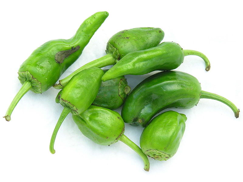 Peper Pimento del Padron in pot ronde peper 2500 Scoville