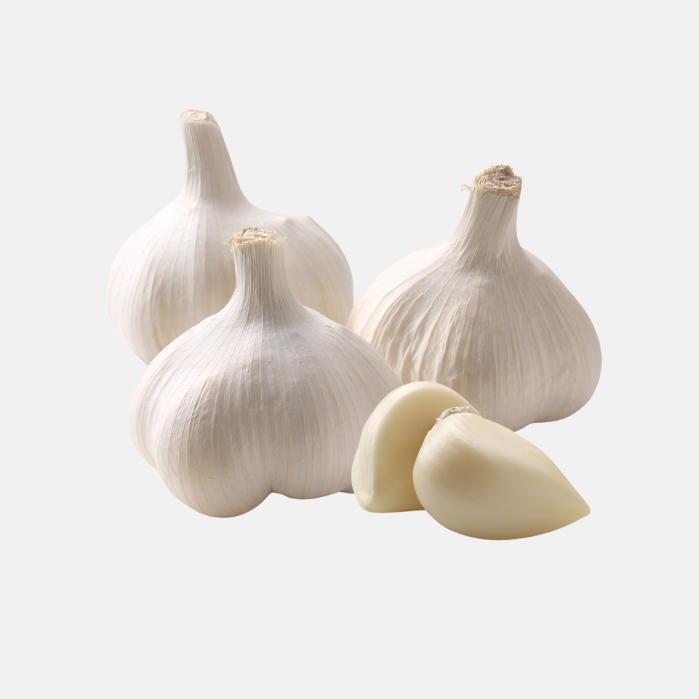 Plant garlic white - 'Precosem Hardneck' (choose number of bulbs)