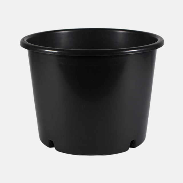 WELLGRO Flummi Frost 24 mm - Bunte Flummis, Springball, Mitgebsel, Tombola - Menge wählbar WELLGRO Flummi Frost 24 mm - Bunte Flummis, Springball, Mitgebsel, Tombola - Menge wählbar