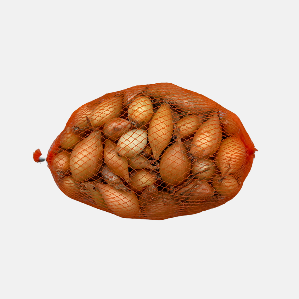 Planter l'oignon 'Setton' BIO