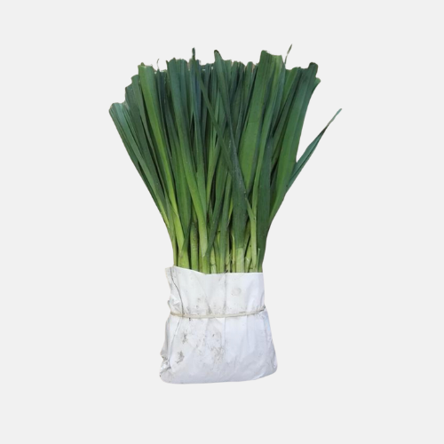 Winter leek plants 25 pieces BIO