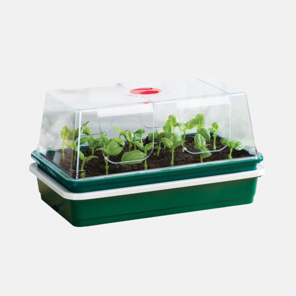 Propagator compact