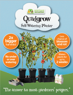 Quad Grow Planter - Slimme kweekbakken met watersysteem en voeding (zie opties)