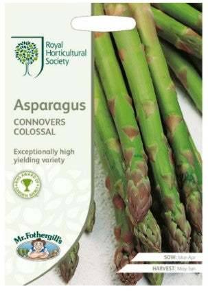 RHS Asparagus Connover's Colossal