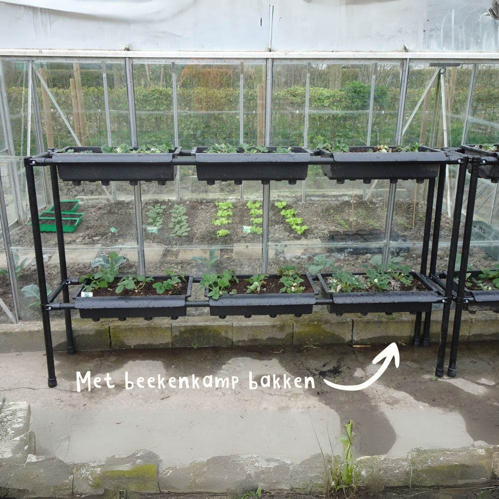 Rek voor 8 BATO bakken - aardbeienrek