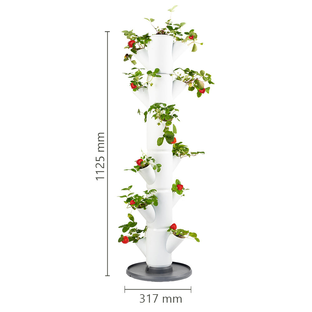 SISSI STRAWBERRY - Classic voor 13 planten - 113 cm hoog