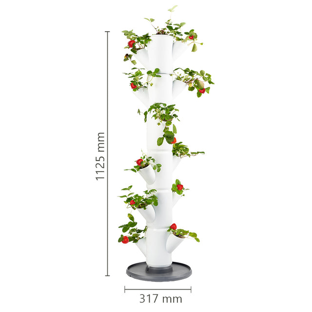 SISSI STRAWBERRY - Classic voor 13 planten - 113 cm hoog