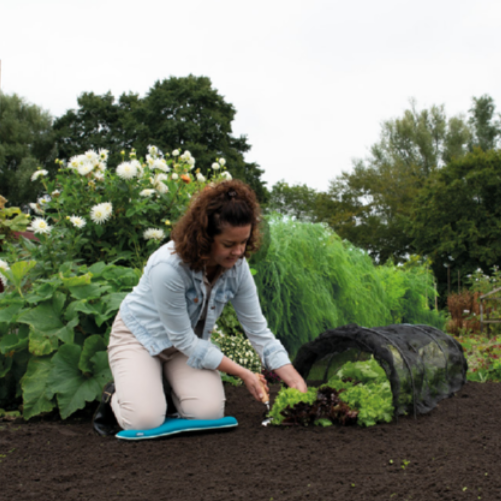 SOGO Kweektunnel zwart gaasnet