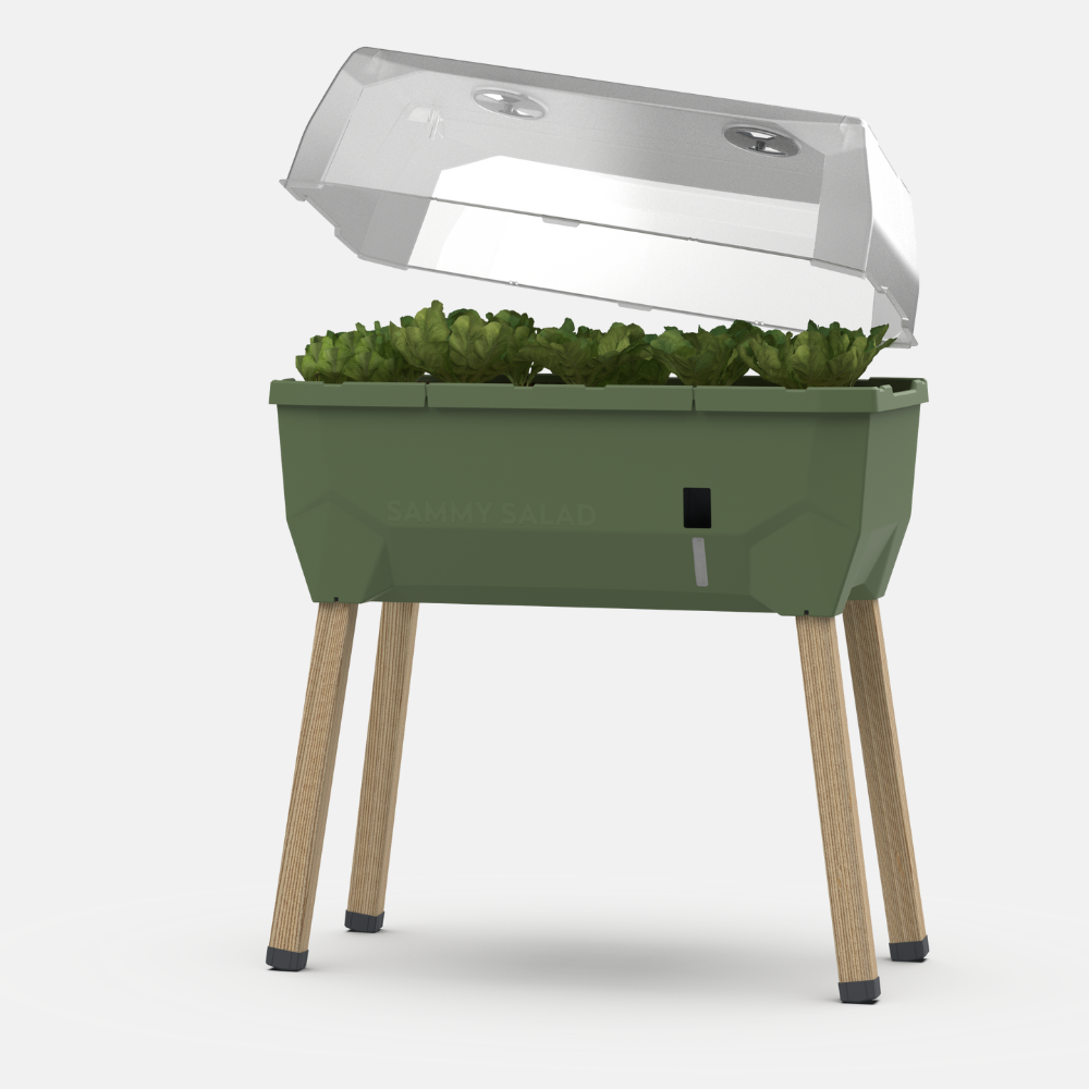 SAMMY SALAD – smarte Aufzuchtbox mit Wasserreservoir und Deckel