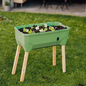 SAMMY SALAD – smarte Aufzuchtbox mit Wasserreservoir und Deckel