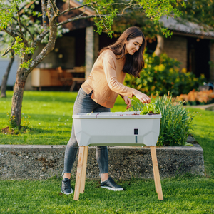 SAMMY SALAD – smarte Aufzuchtbox mit Wasserreservoir und Deckel