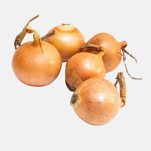 Plant onion 'Senshyu Yellow' (choose weight)