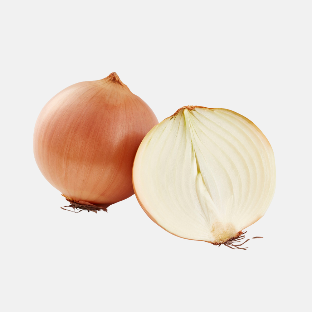 Plant onion 'Shakespeare' BIO - 250 grams
