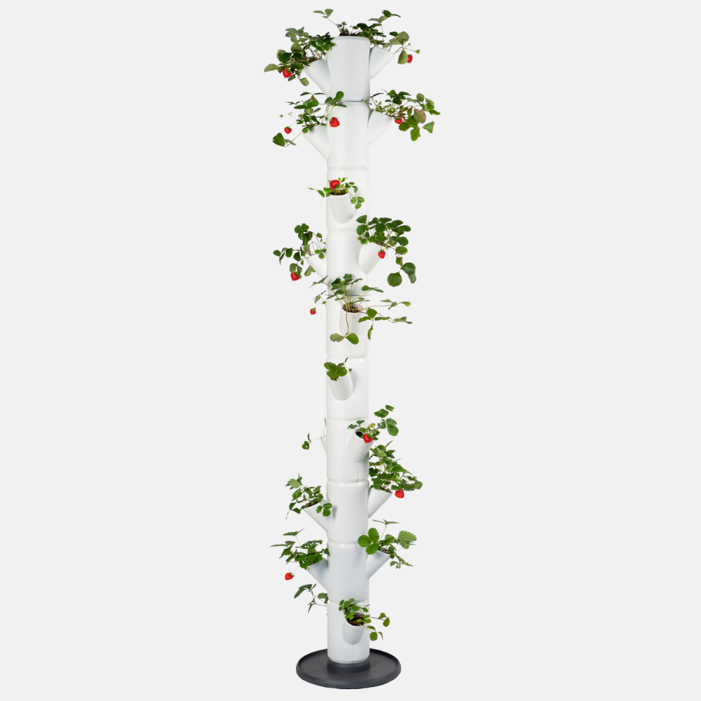 Sissi Strawberry - Aardbeientoren 185 cm hoog