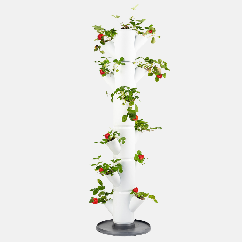 Sissi Strawberry - Aardbeientoren 113 cm hoog