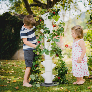 Sissi Strawberry - Aardbeientoren 113 cm hoog