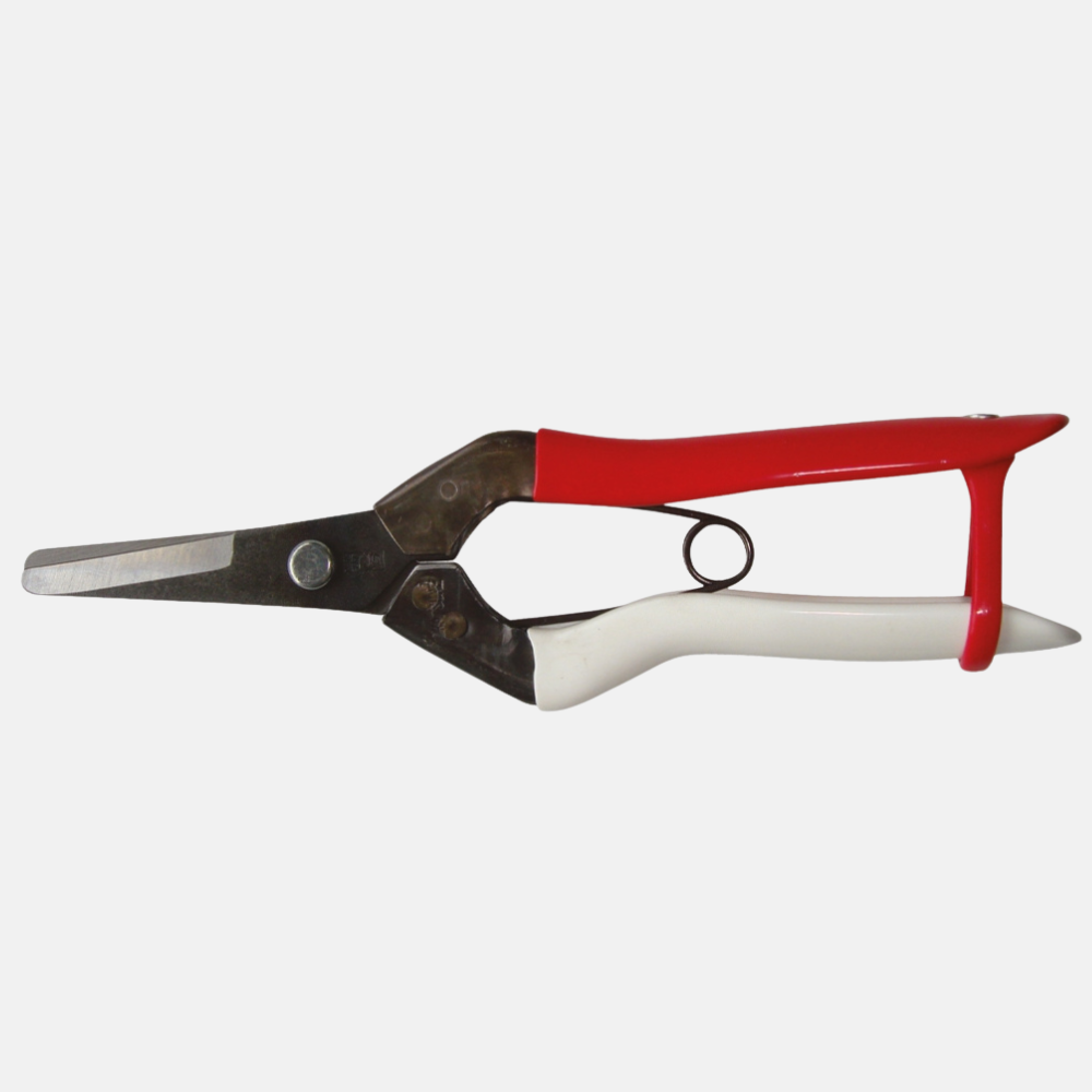 Ciseaux de coupe Okatsune 306 à bout arrondi