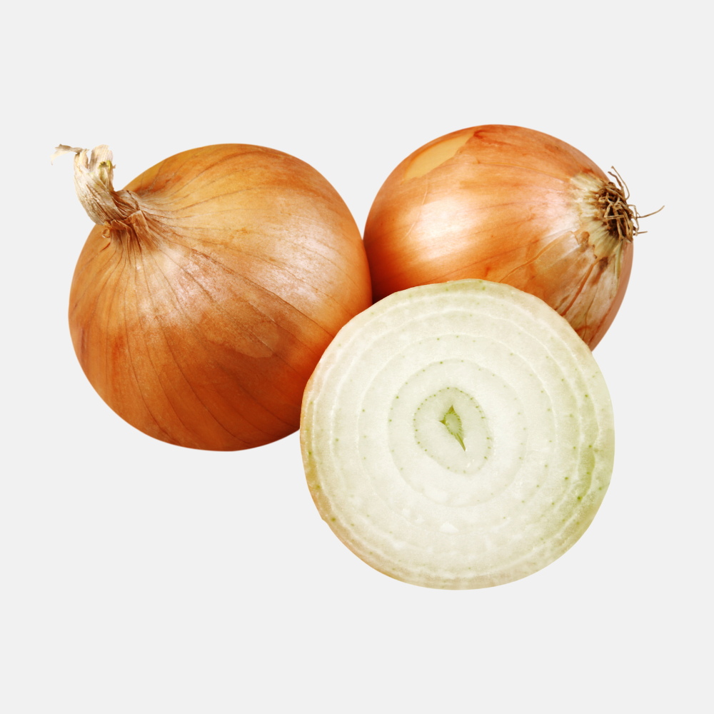 Plantui 'Sturon' BIO (rond)