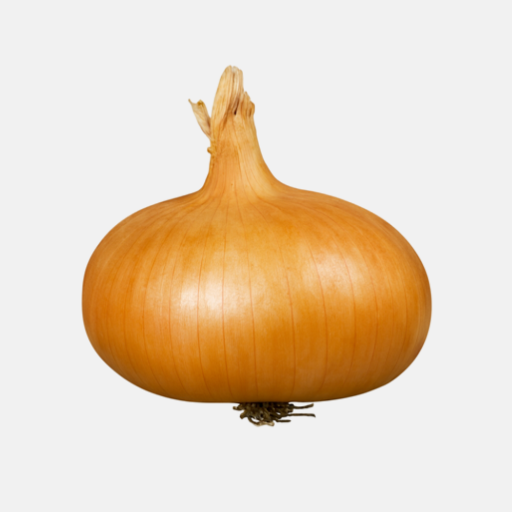 Plantui 'Stuttgarter' BIO (plat) - 250 gram