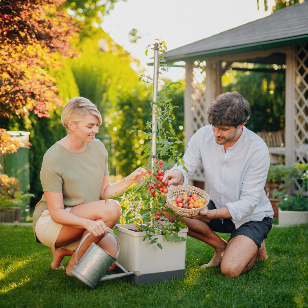 Tom Tomato - tomatenpot met waterreservoir & klimsteun