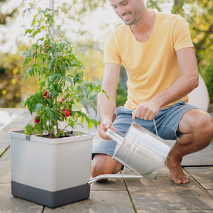 TOM TOMATO: der Tomatentopf mit Wasserreservoir &amp; Kletterhilfe